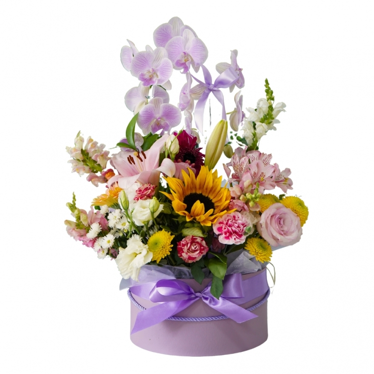 Box Sonho Floral