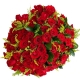 Buquê com 100 rosas vermelhas Buquê com 100 rosas vermelhas
