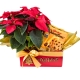 Cesta Estrela de Natal Cesta Estrela de Natal