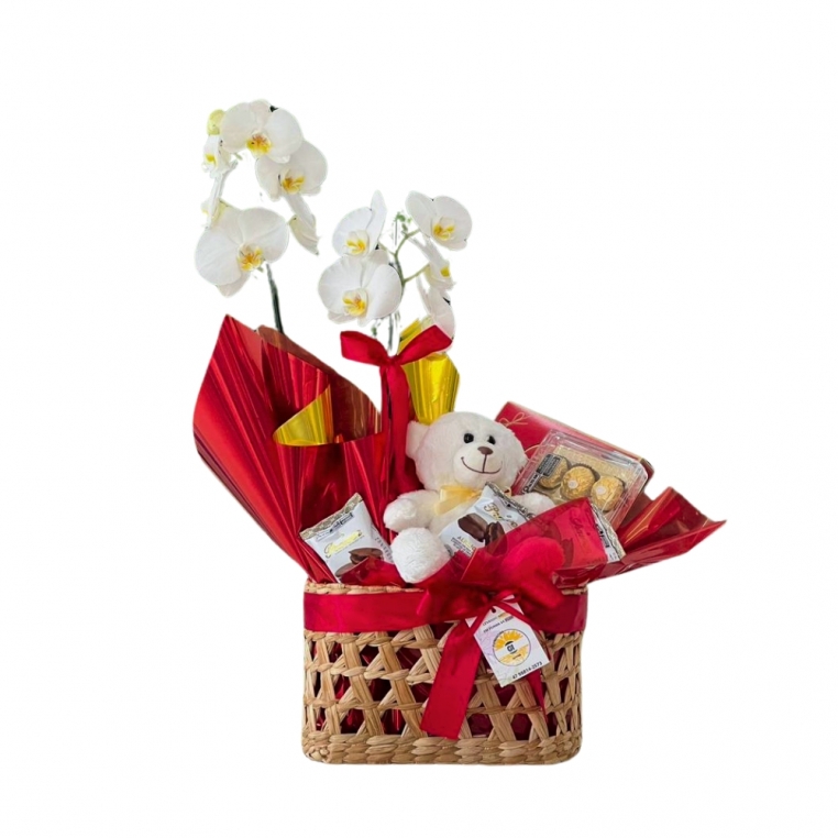 Cesta Orquídea Elegante Cesta Orquídea Elegante