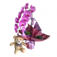 Orquídea cascata com pelúcia (Cores Variadas)