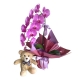 Orquídea cascata com pelúcia (Cores Variadas)