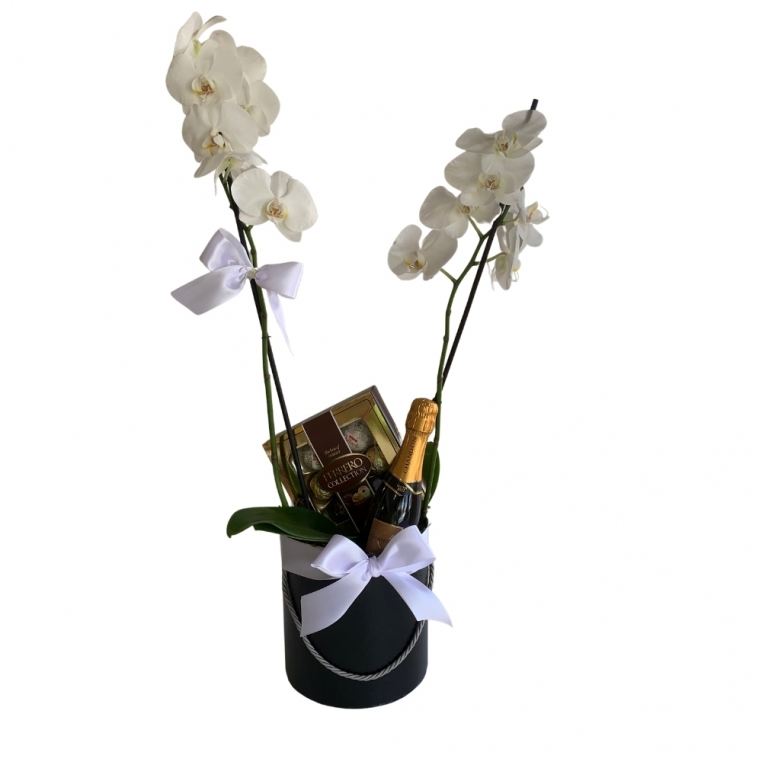 Orquídea branca no box com espumante e chocolate