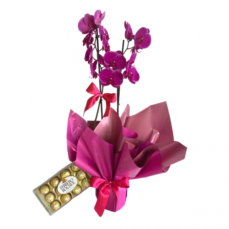 Orquídea phalaenopsis pink com 2 asters e chocolate
