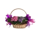 Cesta com 2 violetas Cesta com 2 violetas